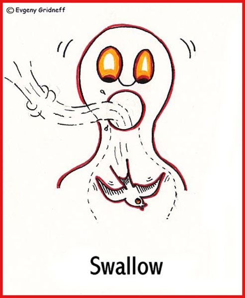 swallow e 13.jpeg